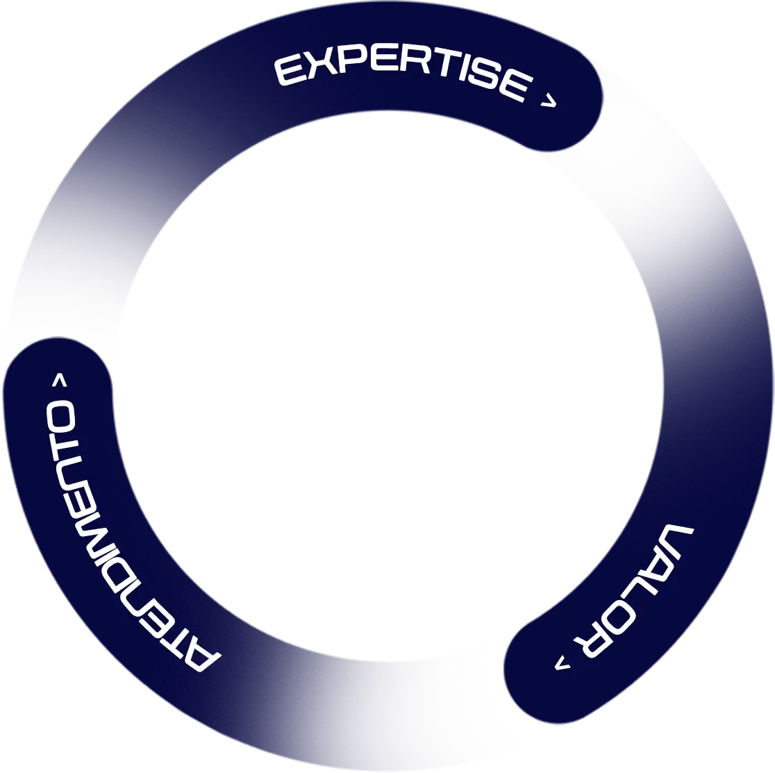 elipse 4